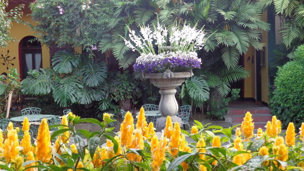 Hotel Casa Antigua By Ahs المظهر الخارجي الصورة